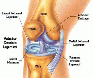 knee-surgery1