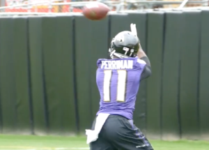 wide receiver Breshad Perriman