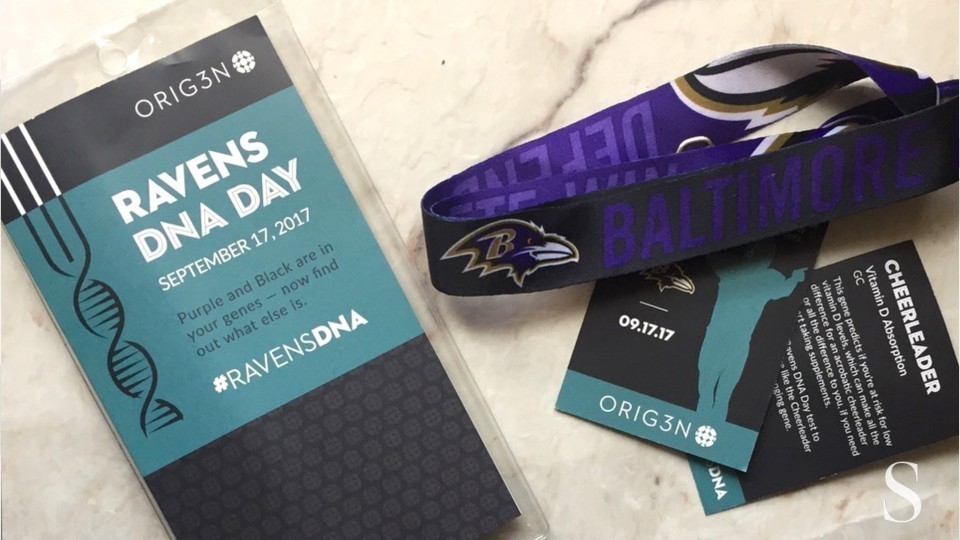 Ravens Gameday Experience