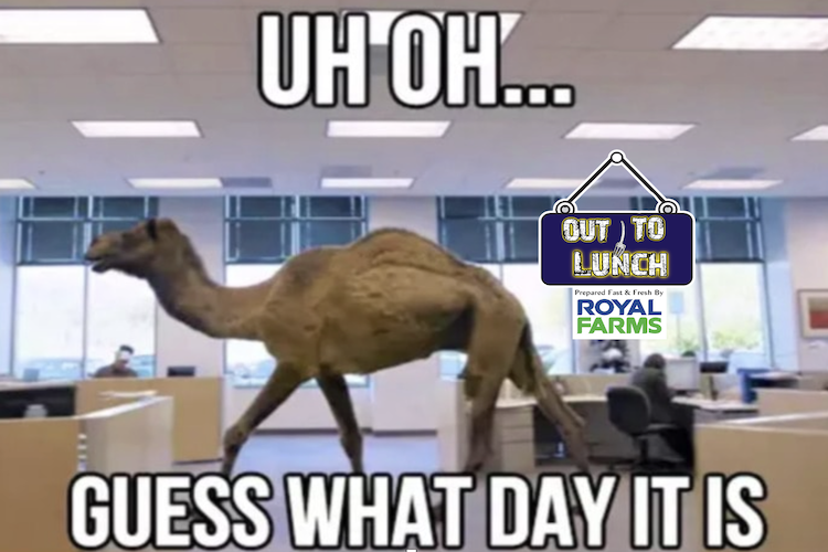 Hump Day Out to Lunch