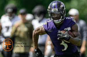James Proche camp notes