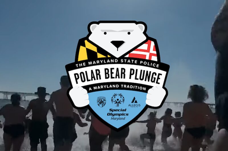 Polar Bear plunge